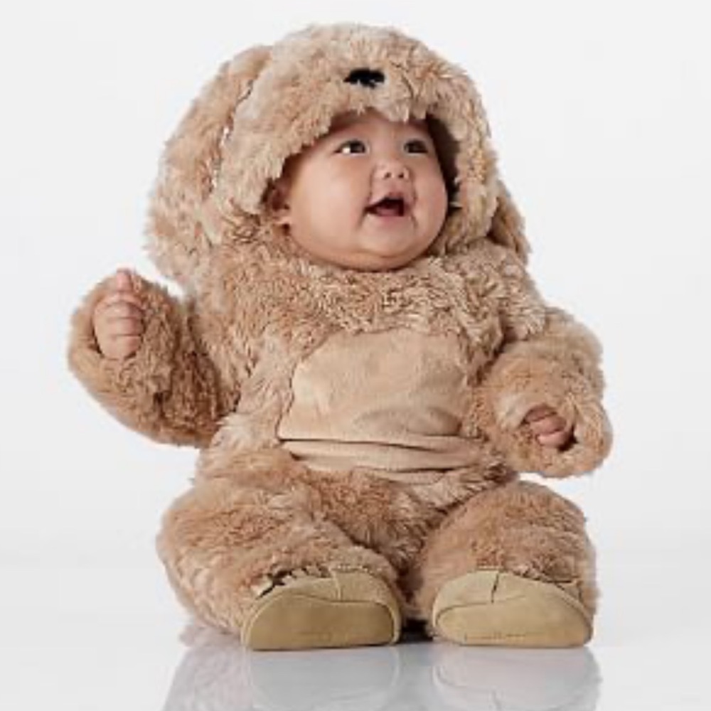 Pottery Barn Kids Dog Halloween Costume (Labradoodle)